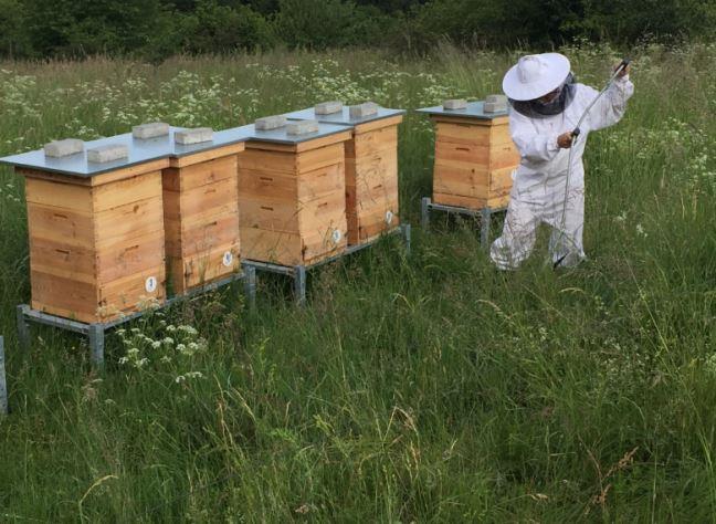 Včelařská farma s produkty v BIO kvalitě